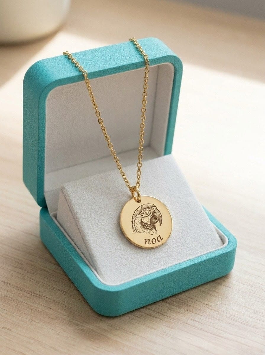 Collar Personalizable