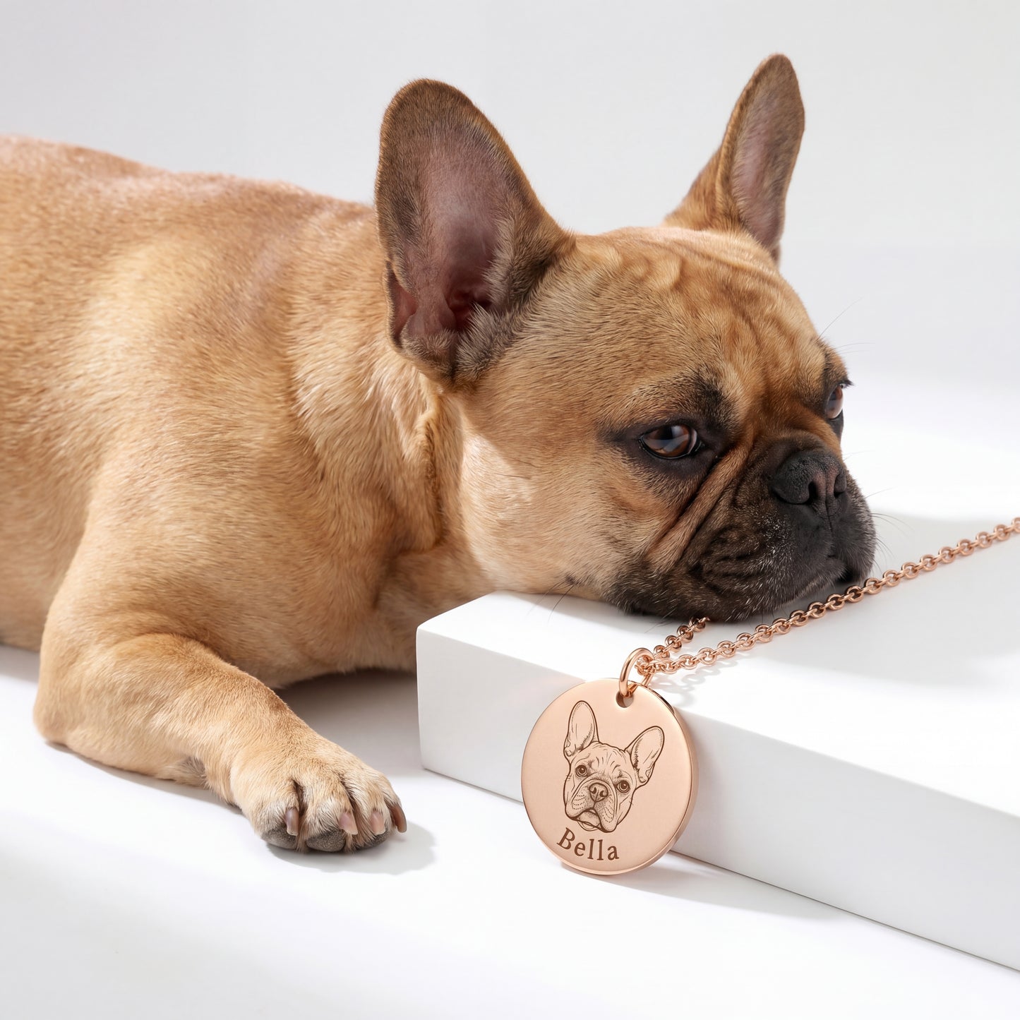 Collar con el Retrato de tu Mascota
